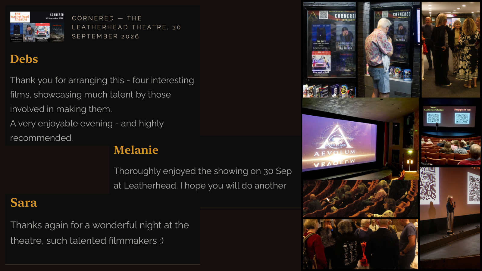 A Night To Remember At Leatherhead’s Own Audience Film Festival — Aevolum Screenings